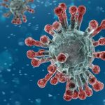 COVID-19 microbe